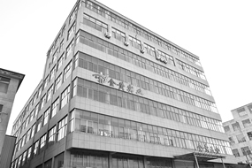 別墅銅門